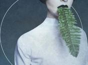 KANGDING RAY, Cory Arcane