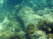 Archeologia. Scoperto largo Haiti relitto della Santa Maria? anni dopo naufragio, team subacquei guidato Barry Clifford annunciato aver rinvenuto resti dell'ammiraglia Cristoforo Colombo.