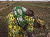 Donne, agricoltura fame mondo