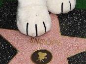 zampa Snoopy sull’ Hollywood Boulevard