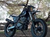Special XR600