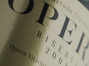 Opera Riserva 2008: un’opera d’arte