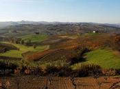 Astigiano, terra vino