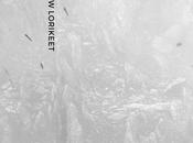 RAINBOW LORIKEET, Tail Biting