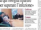 Rassegna stampa Xylella