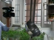 legalizzazione lavoro nero