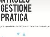 Controllo gestione pratica: casi esempi excel