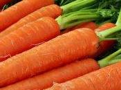 Frullato carote: ecco ricetta