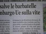 Xylella novembre 2015