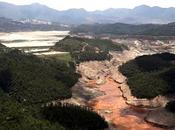 Disastro ambientale Brasile!