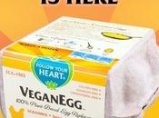 uova vegan ammesso fosse bisogno