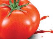 L’illegalità costa miliardi minaccia 263mila posti lavoro