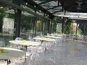 ortofarmacia cena Santa Lucia" dicembre 2015 presso Villa Diana Lizzanello