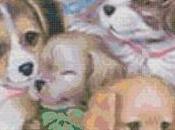 Schema punto croce: Quadretto_6