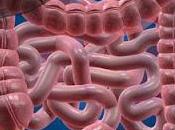 ROMA. Presentate linee guida SIPMeL nella cura tumore colon retto primo test basato sulla tecnologia DNA.