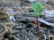 Anche “Possibile” partecipa alla “Marcia Globale Clima” dell’Alto Varesotto