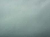 CHRIS TENZ, Nails Through Bird Feet