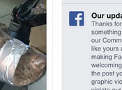 Facebook, migliore amico degli animali