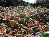 Cibo: stop allo spreco (ripensando filiera)