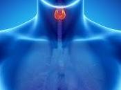 UDINE. Tutto quello vorrebbe sapere internet sulla tiroide, Congresso conclude domani.