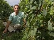 Classifica Champagnes “Vignerons” 2015- seconda parte