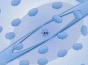 Supernova buco nero nella Fenice