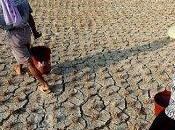 cambiamenti climatici provocheranno mila vittime l'anno