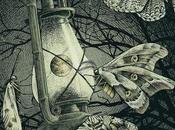 AUSTRALASIA, Notturno