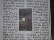 Xylella dicembre 2015