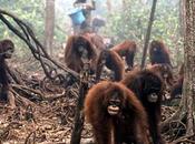 continui mangiare nutella!