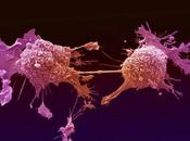 PAVIA. “Nature Communications” importante studio pavese tumori.