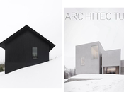 Winter Architecture