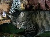 It's Christmas Time