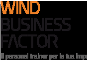 Nuove idee business, Wind Business Factor
