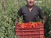 Campania Regione punta sull'agricoltura (29.03.11)