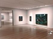 Visite virtuali museo