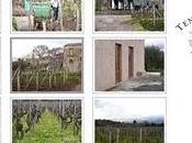 Tenuta Fessina moving