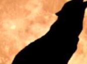 ruggito ALicE: cosa fate dopo mezzanotte?