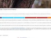 Xylella dicembre 2015