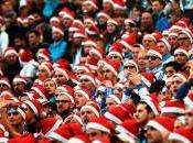 Boxing premier league