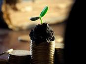 Startup, tutti numeri sugli investimenti Italia 2015