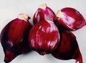 Aradeo della provincia Lecce Biodiverso