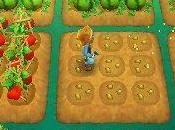 quattro stagioni Recensione