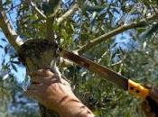 contenimento CoDiRo Consorzi Bonifica