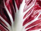 Purificare depurare sangue: presento Radicchio rosso