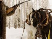 trailer “The Hateful Eight”, nuovo film Tarantino. “L’America ancora risolto questione razziale”