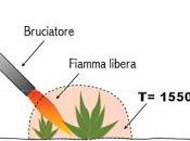 Buone pratiche agricole controllo delle erbe spontanee