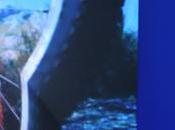 2016, Intel punta droni, robot wearable