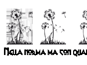 [Recensione] regalo Natale Martyne Perrot