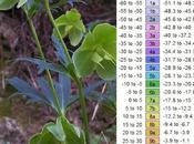 USDA, zona climatica Houzz)